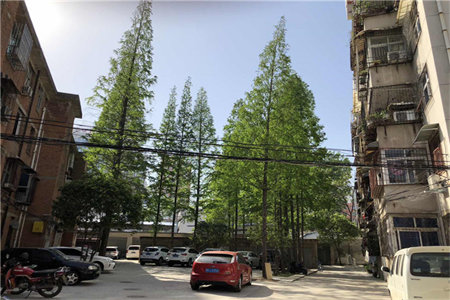 房子三年暂时不住要不要装修